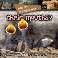How Do Animals Use Their Mouth
