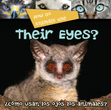 How Do Animals Use Their Eyes?