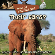 How Do Animals Use Their Ears?