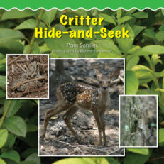 Critter Hide-And-Seek