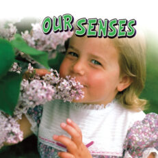 Our Senses Small Book