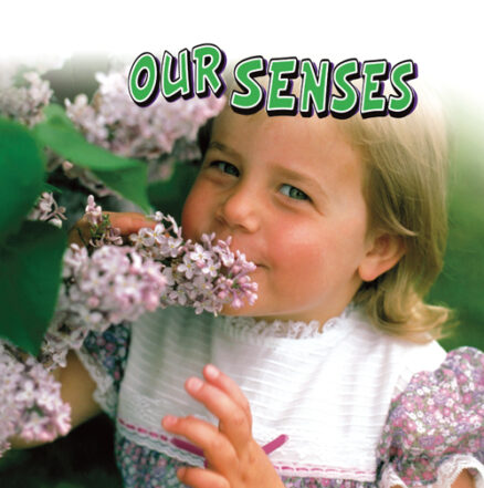 Our Senses Small Book