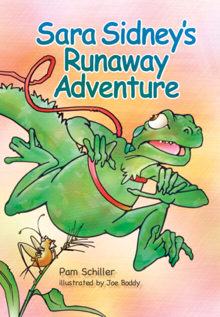 Sara Sidney'S Runaway Adventur