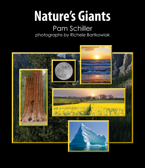 Nature'S Giants Big Book