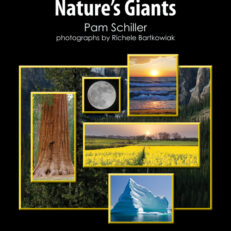 Nature'S Giants Small Book