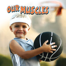 Our Muscles Big Book