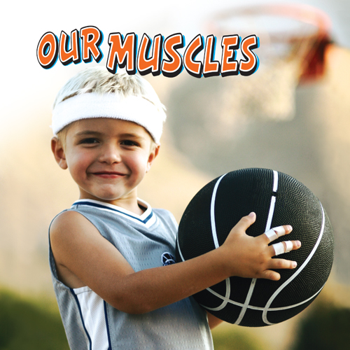 Our Muscles Small Book