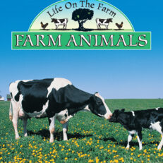 Farm Animals Big Book
