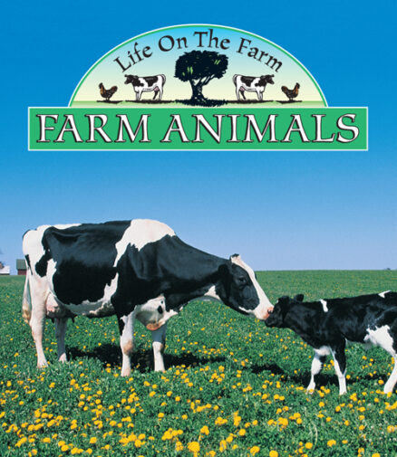 Farm Animals Big Book